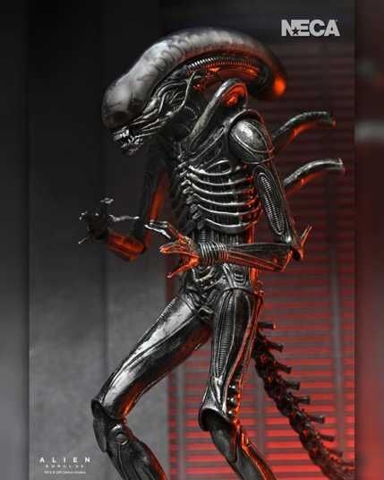 Купити Колекційна фігура Ксеноморф ХХ121 Alien: Romulus Ultimate