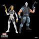 Комплект колекційних фігур Мадам Маска та Кроссбоунс Marvel Legends Madame Masque & Crossbones 2-pack (Amazon exclusive)