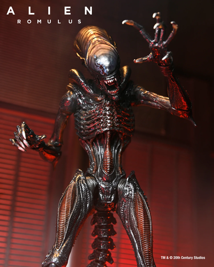 ALIEN ROMULUS フィギュア 約30cm Купить Коллекционная фигура Выжженный Чужой Alien: Romulus