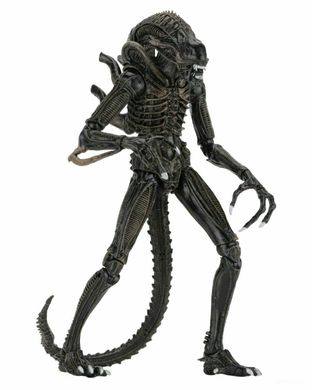 Колекційна фігура Чужий Воїн Alien Warrior Ultimate NECA (Brown)