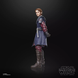 Комплект колекційних фігур Енакін Скайвокер та Клон Капітан Рекс STAR WARS The Black Series Anakin Skywalker & Clone Captain Rex (пошкодженно пакування)